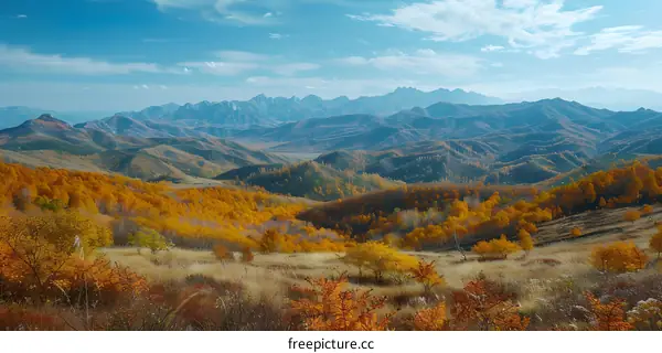 Colorful mountains and forests in autumn