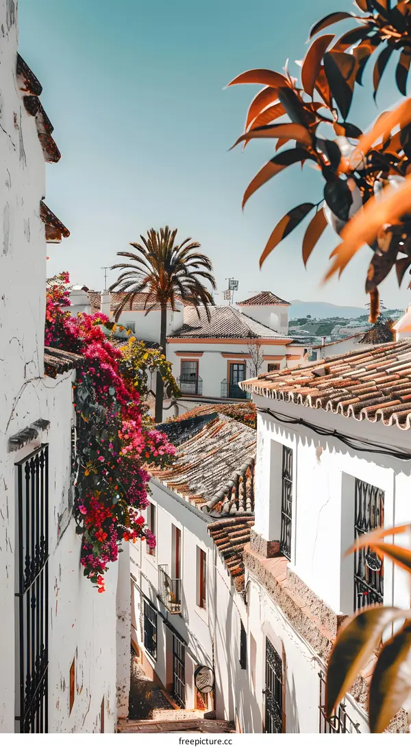 Whitewashed Buildings And Palm Trees In A Spanish Town