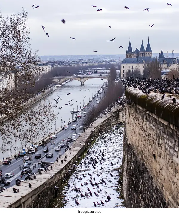 Aerial View of the Seine River in Paris with a Stone Wall and Birds
