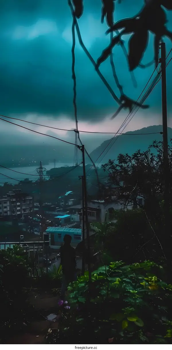 Silhouetted Person Standing in Front of a Cityscape