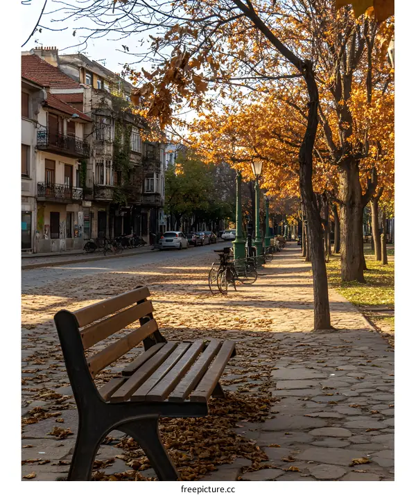 Empty Bench in a Park with Fallen Leaves and Buildings in the Background