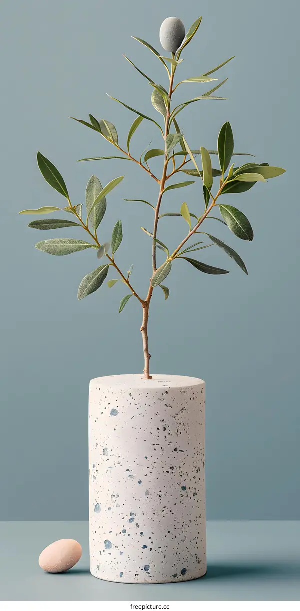 Minimalist Green Plant in a Speckled Pot