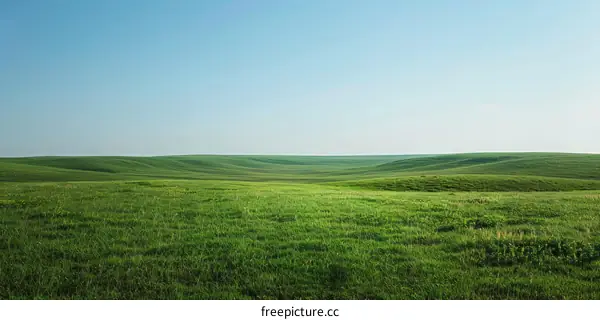 Hillside Meadow with Blue Sky