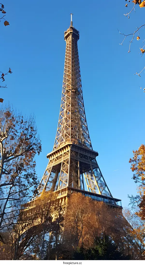 Eiffel Tower with Blue Sky