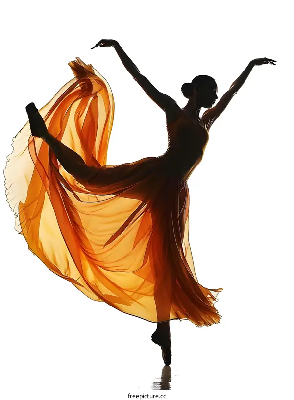 Graceful Ballerina Silhouette