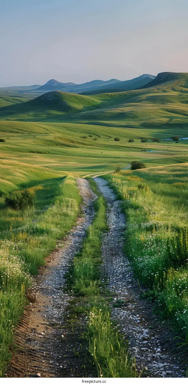 The dirt road through the green hills