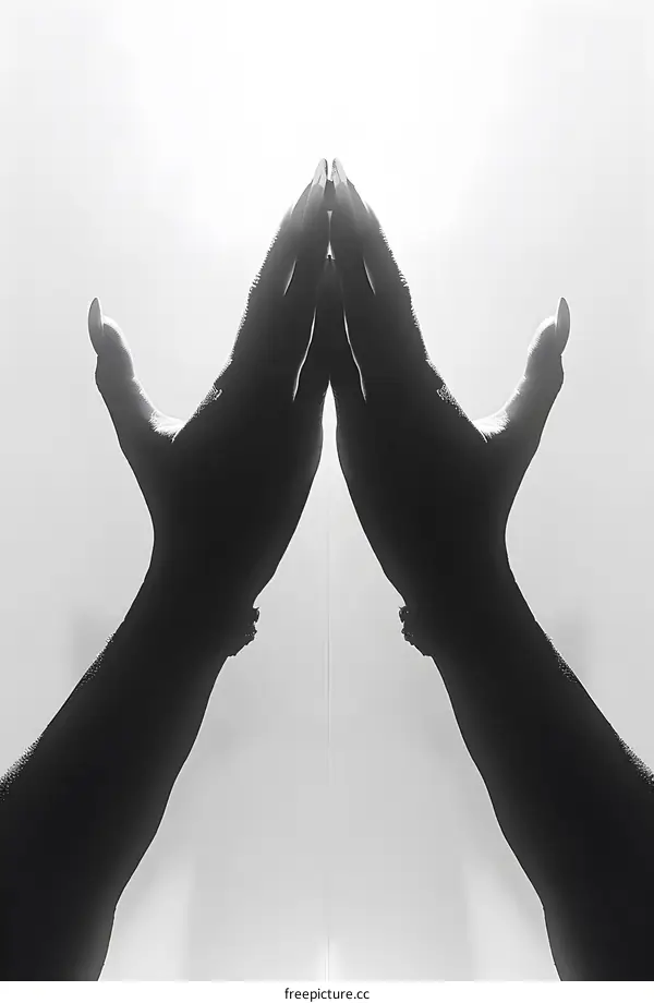 Black and White Hands in Prayer