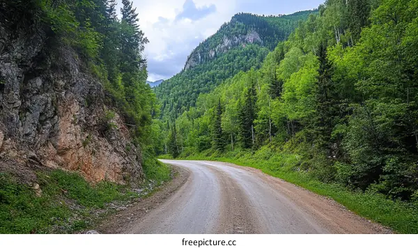 Mountain Road Through Lush Green Forest