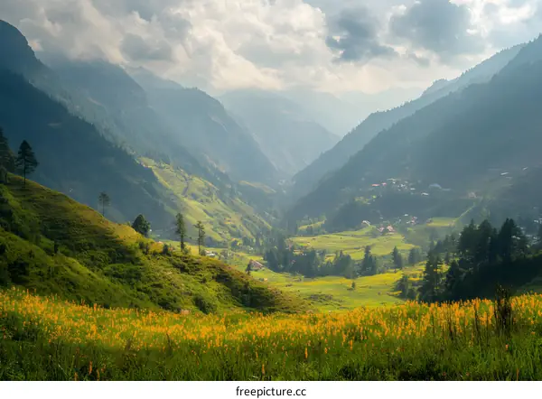 Picturesque Valley with Lush Green Hills and Yellow Flowers