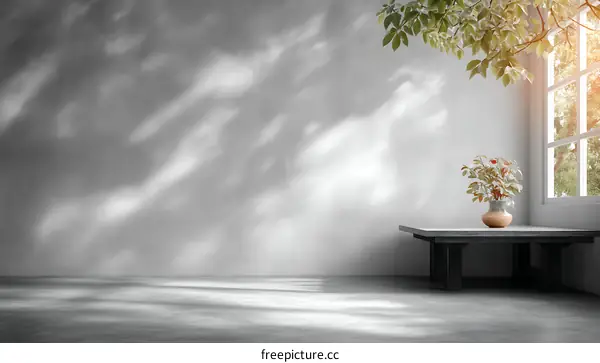 Empty Room with Vase and Sunlight