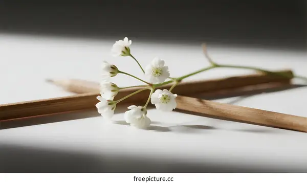 Delicate White Flowers Resting on Bamboo Sticks in Soft Light