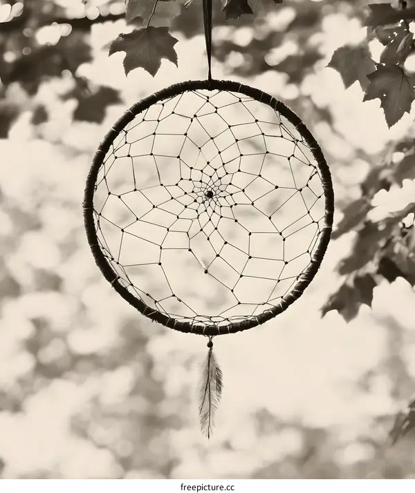 Dreamcatcher Hanging in Tree