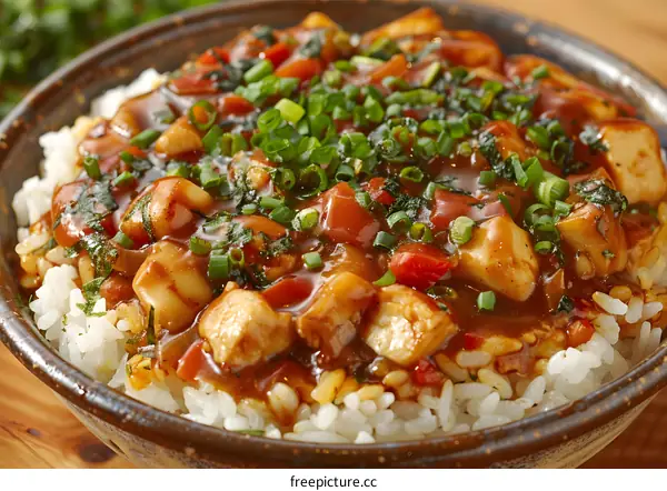 Close Up of Japanese Chicken and Rice Dish