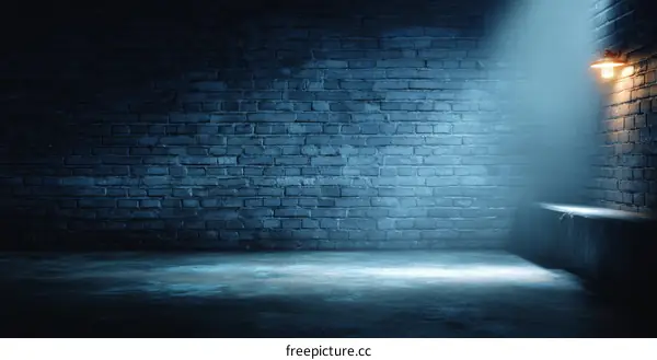 Dark Blue Brick Wall Room with Spotlight and Concrete Floor