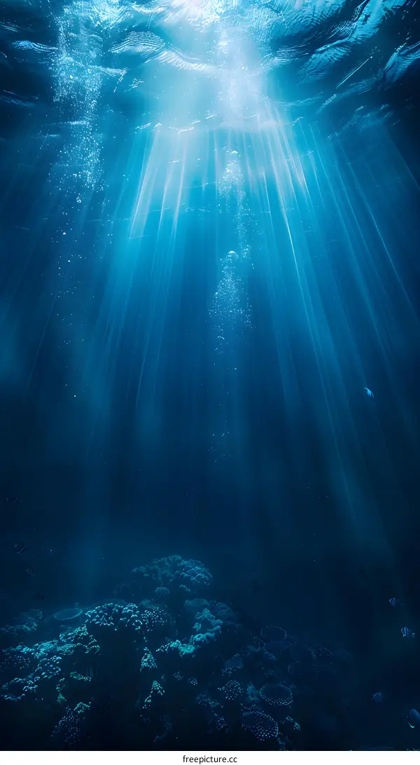 Underwater view of coral reef and sunlight