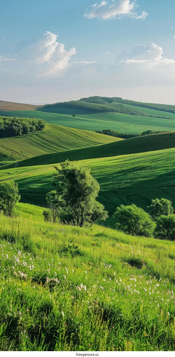 Rolling Green Hills under Blue Skies in China