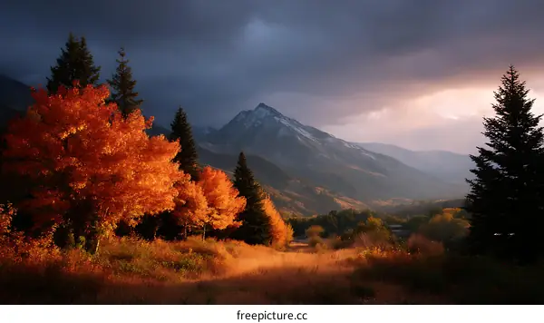 Autumn Mountain Landscape with Colorful Trees
