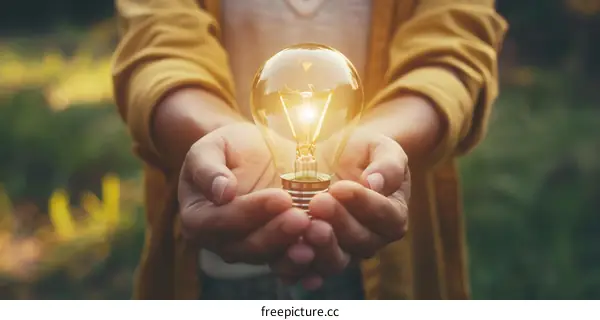 Light bulb in hand to symbolize a new idea or innovation.