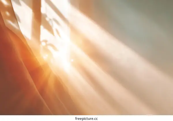 Sunlight Streaming Through Curtains