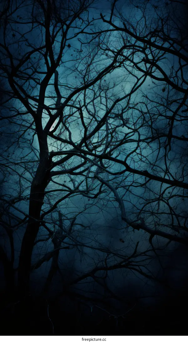 Blue Tree Branches Against Dark Night Sky