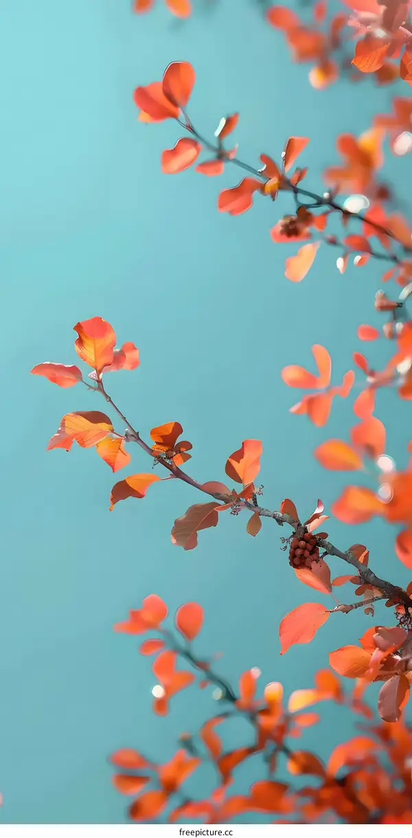 Red Leaves Branch Against Blue Sky