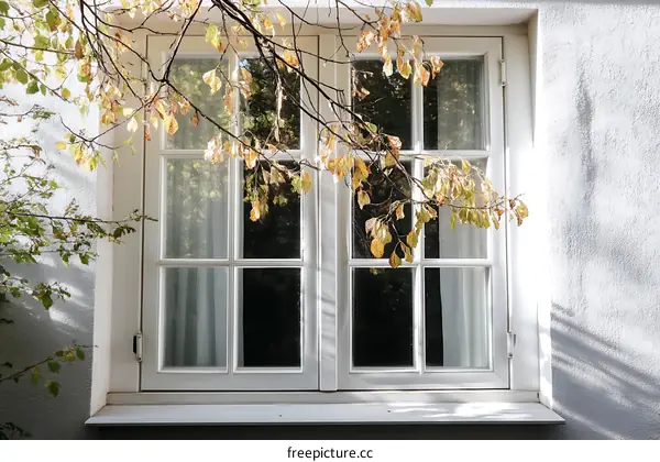 Autumn Daylit Window with Fallen Leaves