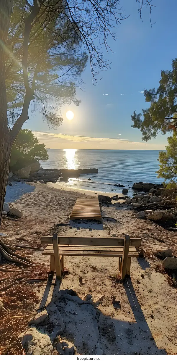 Wooden walkway to the sea with bench in the shade of pine trees