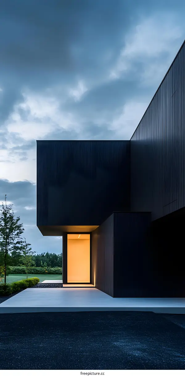 Modern Architecture Black Exterior House Entrance