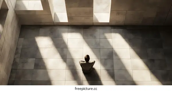 Single Person Sitting in a Room With Windows