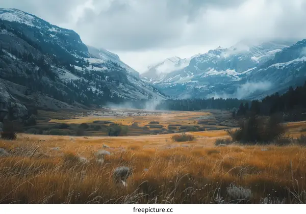Mountain Valley with Grass Field Meadow