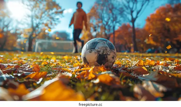 A soccer ball lies on the grass during an autumn day with a person playing soccer in the background