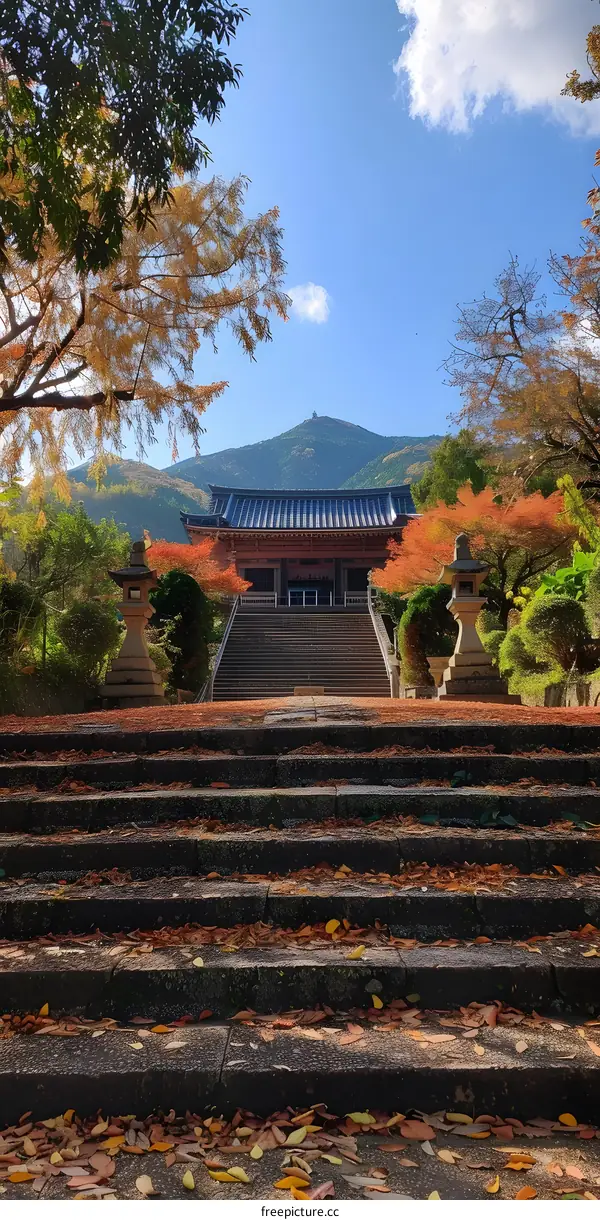A beautiful temple with red leaves in autumn