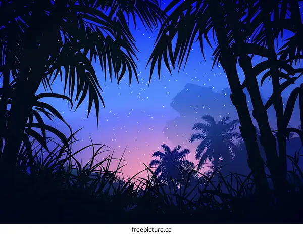 Silhouette of Palm Trees in Night Sky with Stars