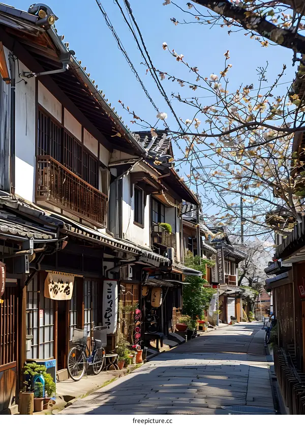Japanese traditional houses and cherry blossoms