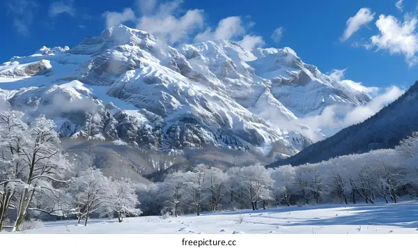 The snow-capped mountains are towering above the snow-covered forest
