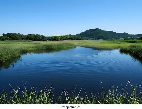 The blue sky and green grassland
