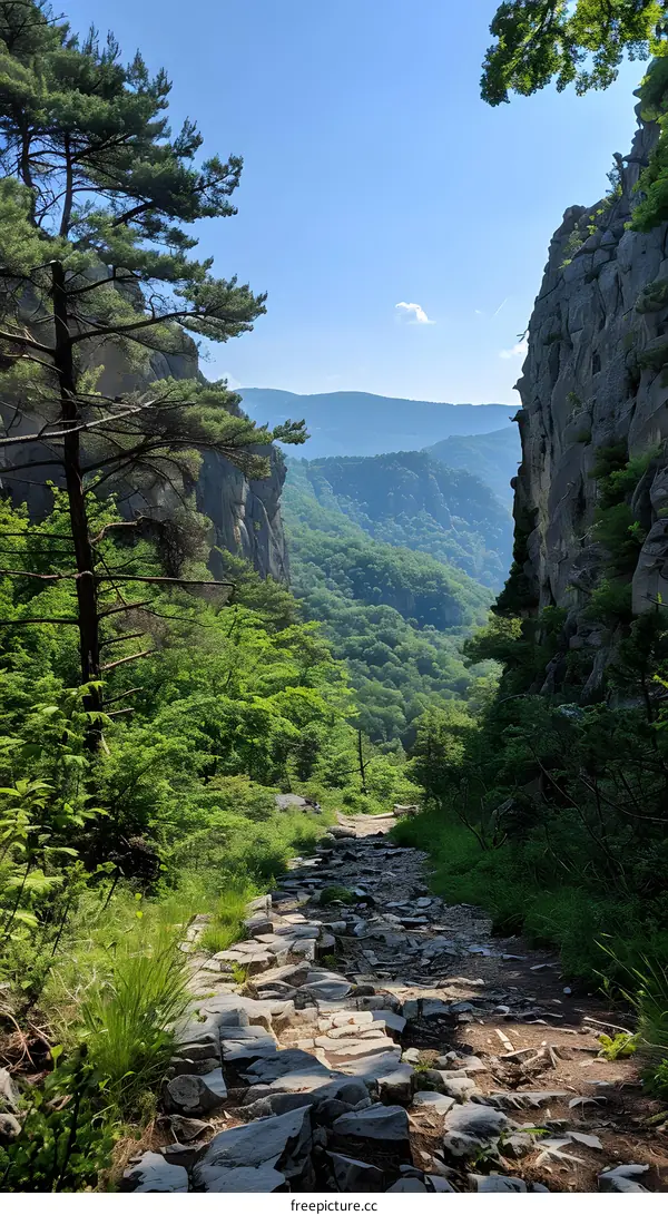 Rocky hiking trail through a narrow mountain pass