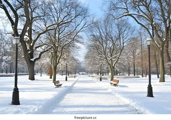 Snowy Park Pathway with Benches and Street Lights