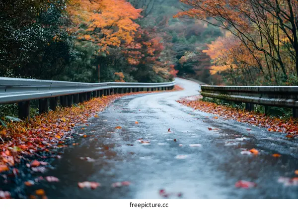 Autumn Road With Fallen Leaves And Guardrail