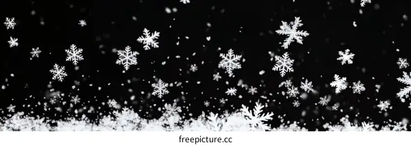 Falling Snowflakes Against a Black Background