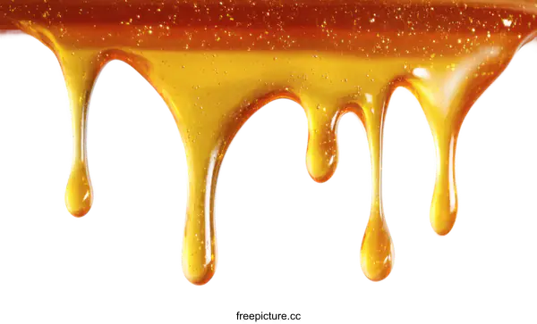 [Transparent Background PNG]Honey Dripping Close-up