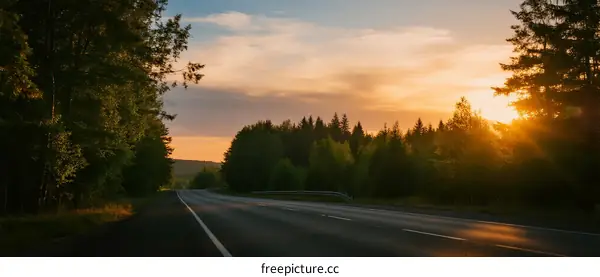 Sunset view of a road surrounded by lush green trees
