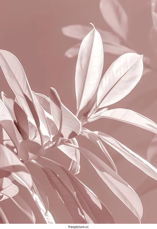 Leaves In Pink Tones