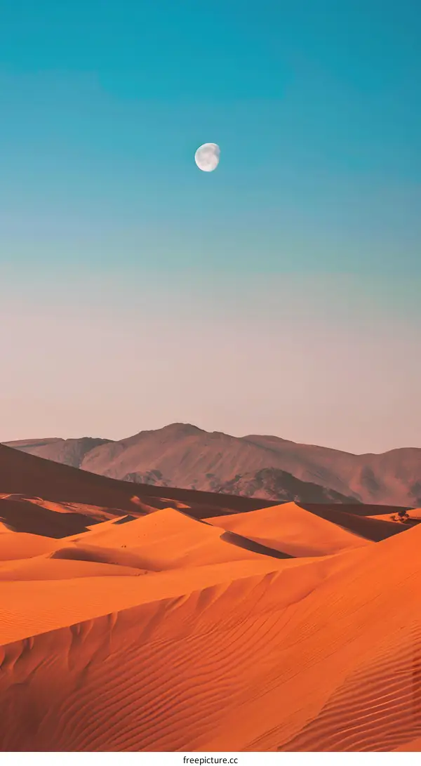 Desert Landscape with Full Moon in the Blue Sky