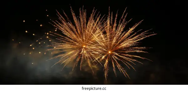 Colorful Fireworks Display in the Night Sky