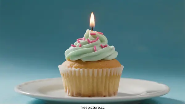 A delicious cupcake with a lit candle on a white plate