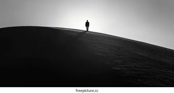 Man walking alone in the desert