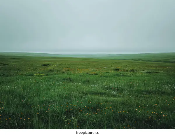 green rolling hills under a grey sky