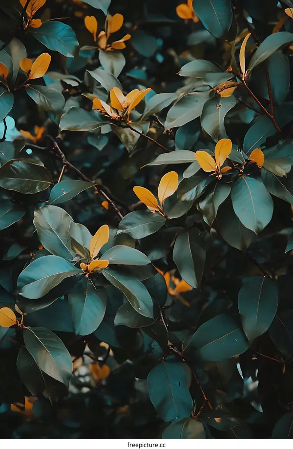 Close Up of Green Leaves with Yellow Tips