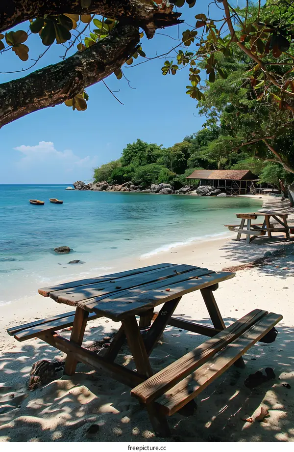Beach picnic area with two wooden tables under the shade of a large tree